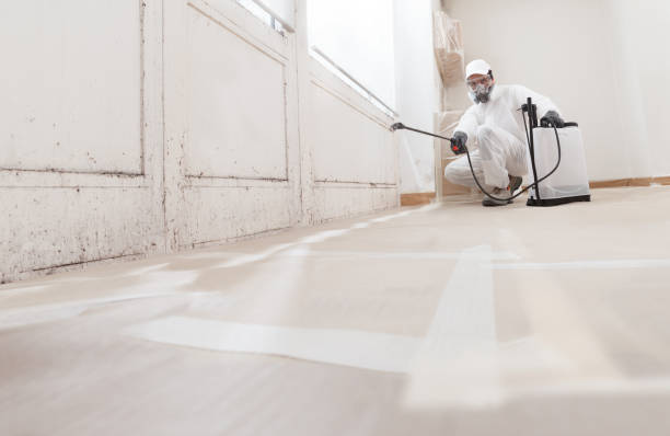 24/7 Emergency Mold Inspection experts in Leander, TX